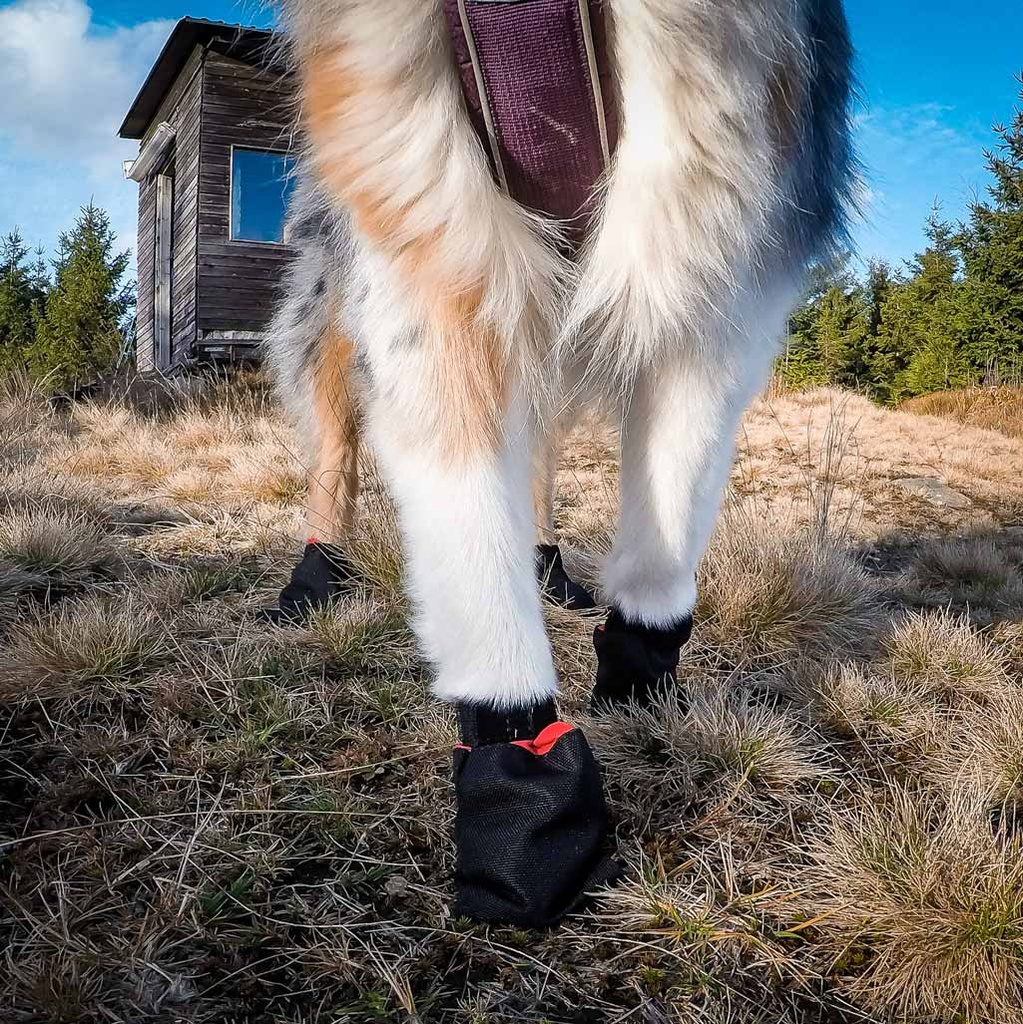 Non-stop dogwear Pfotenschuh, fest Bootie Hund
