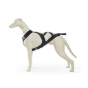 Sled Dog Line X-Shirt Zuggeschirr